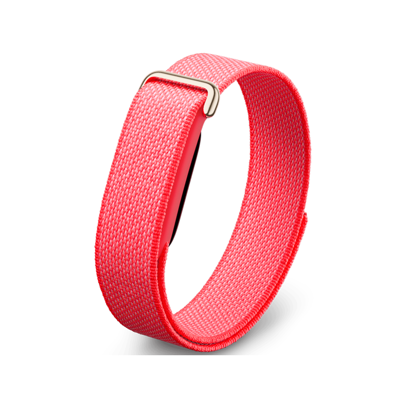 Google Fitbit Air Berry