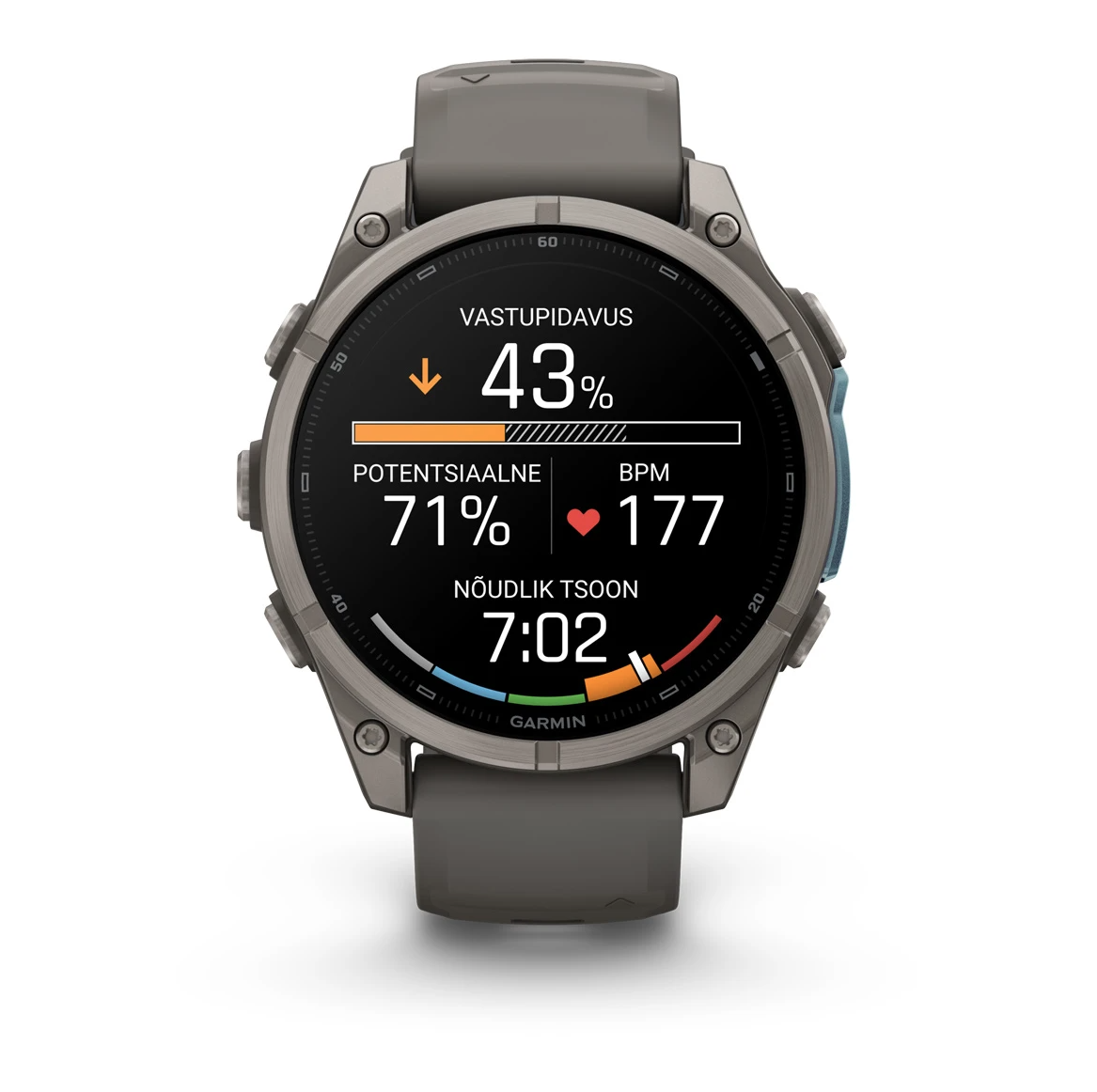 Garmin fenix 9 47mm Titanium with Pebble Grey Silicone Band - Pilt 6