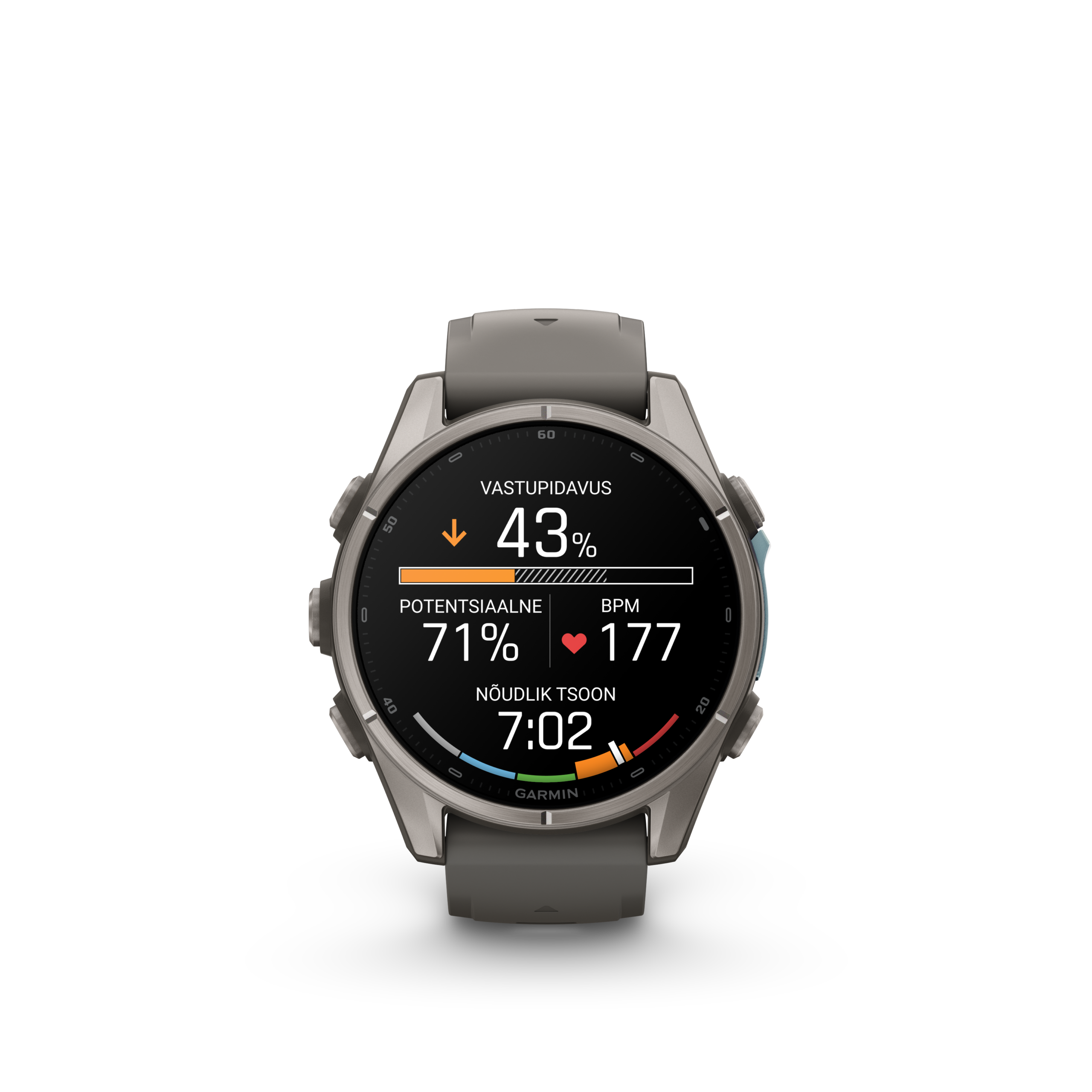 Garmin fenix 9 43mm Titanium with Pebble Grey Silicone Band - Pilt 7